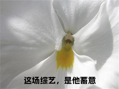 季时尘江念念在线阅读（这场综艺，是他蓄意）全文免费阅读_这场综艺，是他蓄意最新章节列表_笔趣阁