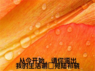 谢晞宛陆祁骁全文免费阅读无弹窗大结局_（谢晞宛陆祁骁）最新章节列表笔趣阁（从今开始，请你滚出我的生活谢晞宛陆祁骁）