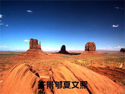 齐景郇夏文熙小说最新章节阅读齐景郇夏文熙夏文熙齐景郇全文免费阅读最新章节大结局