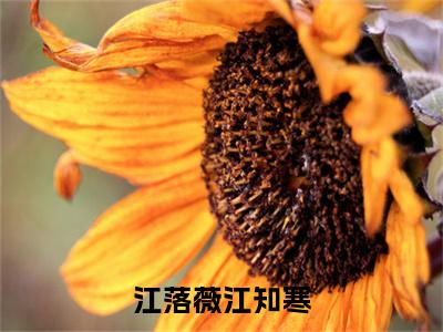 江落薇江知寒（江落薇江知寒）全文免费阅读-（江落薇江知寒）江落薇江知寒最新章节小说阅读-笔趣阁