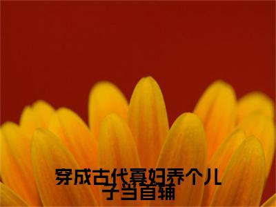 主角为顾冉的小说（穿成古代寡妇养个儿子当首辅）无弹窗大结局-最新小说穿成古代寡妇养个儿子当首辅全文阅读最新章节列表_笔趣阁