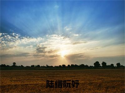 陆缙阮妤（阮妤陆缙）小说全文免费阅读无弹窗大结局_（陆缙阮妤全文免费阅读）阮妤陆缙最新章节列表