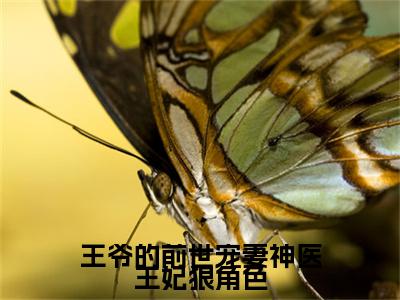 王爷的前世宠妻神医王妃狠角色（周般若小说）全文在线阅读无弹窗大结局_（周般若小说）王爷的前世宠妻神医王妃狠角色在线阅读无弹窗最新章节列表