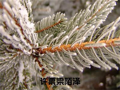 许粟梁陌泽（许粟梁陌泽）全文完整版免费阅读_许粟梁陌泽最新章节列表_笔趣阁（许粟梁陌泽）