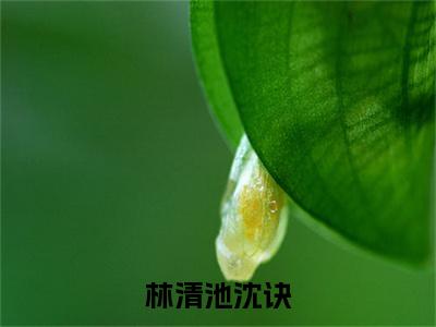 主角为林清池沈诀的小说精彩阅读-林清池沈诀最新章节阅读