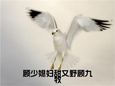 顾少媳妇甜又野顾九牧（阮画意顾九牧）小说全文免费阅读无弹窗大结局_（顾少媳妇甜又野顾九牧全文免费阅读）阮画意顾九牧最新章节列表