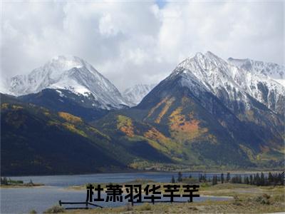 华芊芊杜萧羽（杜萧羽华芊芊小说）全文免费阅读无弹窗大结局_（华芊芊杜萧羽）杜萧羽华芊芊小说最新章节列表