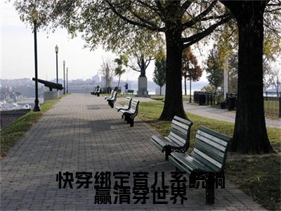 沈绛小说在线阅读全文无弹窗大结局_快穿绑定育儿系统躺赢清穿世界小说免费最新章节列表