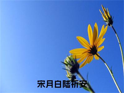 宋月白陆祈安（陆祈安宋月白）小说全文无删减版_宋月白陆祈安最新章节列表_笔趣阁（陆祈安宋月白）