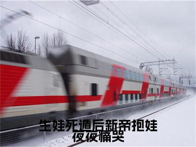 生娃死遁后新帝抱娃夜夜痛哭抖音新书热荐沈青念宋玄-最新小说沈青念宋玄全文阅读