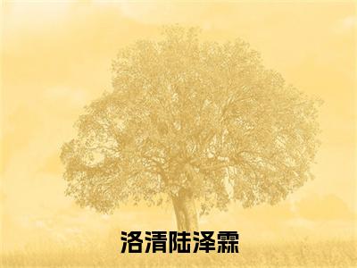 洛清陆泽霖（洛清陆泽霖）全文免费阅读无弹窗大结局_（洛清陆泽霖无弹窗）_笔趣阁