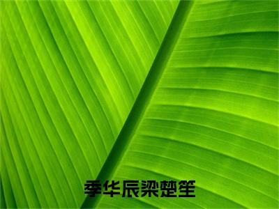 梁楚笙季华辰小说（季华辰梁楚笙）全文免费阅读无弹窗大结局_（梁楚笙季华辰）小说章节列表（季华辰梁楚笙）