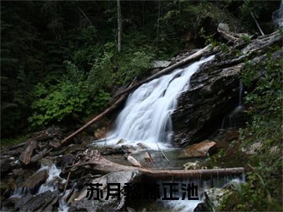 苏月黎林正池（苏月黎林正池）小说小说全集苏月黎林正池无删减在线阅读