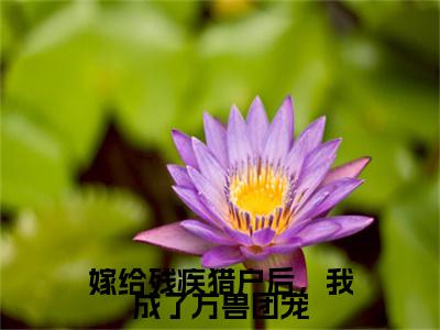 嫁给残疾猎户后，我成了万兽团宠（福安叶雨）小说全文免费_嫁给残疾猎户后，我成了万兽团宠小说（福安叶雨）最新章节目录笔趣阁