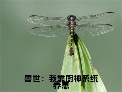 迭戈许可茉（兽世：我靠厨神系统养崽）小说全文无删减版完整版_迭戈许可茉最新章节列表_笔趣阁