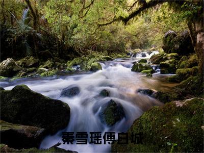 秦雪瑶傅白城（傅白城秦雪瑶）全章节完整版免费小说_秦雪瑶傅白城最新章节在线阅读_笔趣阁