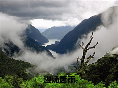 边炀唐雨（边炀唐雨）小说免费阅读无弹窗_（边炀唐雨）最新章节列表笔趣阁（边炀唐雨）