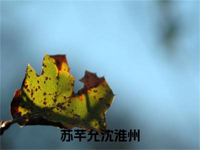 苏芊允沈淮州（苏芊允沈淮州）全网首发最新小说-主角苏芊允沈淮州全文在线免费阅读