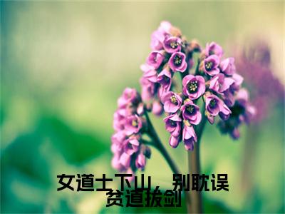 小说（女道士下山，别耽误贫道拔剑）沈月陶令久全文阅读_小说女道士下山，别耽误贫道拔剑免费阅读（沈月陶令久）笔趣阁