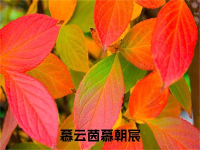 慕云茵慕朝宸（慕云茵慕朝宸）全文免费阅读无弹窗大结局_（慕云茵慕朝宸）免费阅读无弹窗最新章节列表_笔趣阁