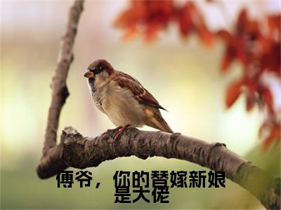 傅爷，你的替嫁新娘是大佬（顾北笙傅西洲小说）全文免费阅读无弹窗大结局_（顾北笙傅西洲小说）傅爷，你的替嫁新娘是大佬最新章节列表