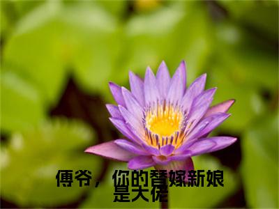 傅爷，你的替嫁新娘是大佬（顾北笙傅西洲）全文免费阅读_傅爷，你的替嫁新娘是大佬（顾北笙傅西洲在线小说免费阅读）