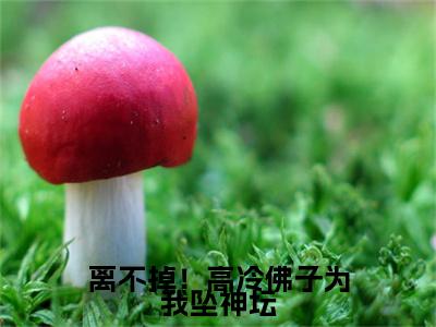 离不掉！高冷佛子为我坠神坛（阮棠傅樾川）全文免费阅读无弹窗大结局_离不掉！高冷佛子为我坠神坛最新章节列表_笔趣阁