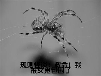 苏明（规则怪谈：救命！我被女鬼包围了）全文免费阅读无弹窗大结局_规则怪谈：救命！我被女鬼包围了小说最新章节列表_笔趣阁（苏明）