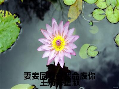 妻妾同娶夺我命废你王府嫁皇叔（沈天娇）全文无删减版在线阅读_妻妾同娶夺我命废你王府嫁皇叔全文免费阅读最新章节列表_笔趣阁