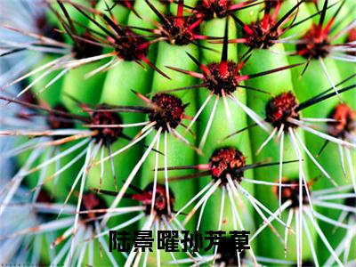 陆景曜孙芳草热门小说在线阅读陆景曜孙芳草全网推荐（陆景曜孙芳草）全文