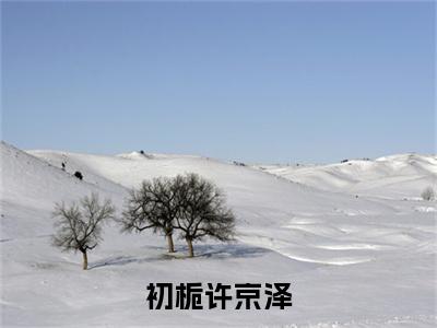 初栀许京泽小说全文-初栀许京泽（许京泽初栀）最新章节免费阅读