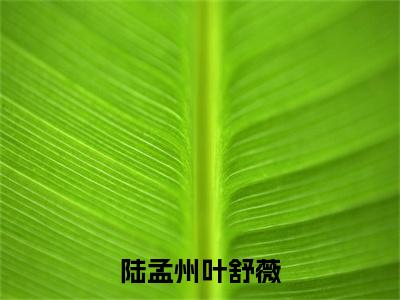 陆孟州叶舒薇（叶舒薇陆孟州）全文免费阅读无弹窗大结局_陆孟州叶舒薇最新章节列表-笔趣阁叶舒薇陆孟州