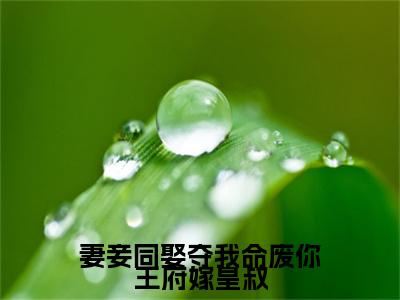 妻妾同娶夺我命废你王府嫁皇叔小说最新章节（沈天娇）全文免费阅读无弹窗大结局_沈天娇免费阅读（妻妾同娶夺我命废你王府嫁皇叔小说）