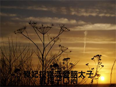 爱妃投毒恋爱脑太子直接一口闷小说最新章节试读_夏枝汀凌霁是（爱妃投毒恋爱脑太子直接一口闷）小说主角热门推荐_笔趣阁（夏枝汀凌霁）