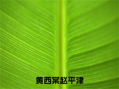 黄西棠赵平津精彩小说赏析全文黄西棠赵平津热门小说免费阅读