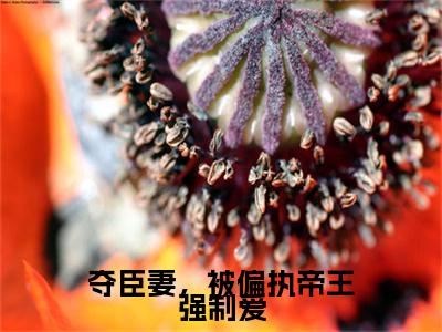 沈薇儿（夺臣妻，被偏执帝王强制爱）全文在线阅读无弹窗大结局_（夺臣妻，被偏执帝王强制爱）最新章节列表_笔趣阁