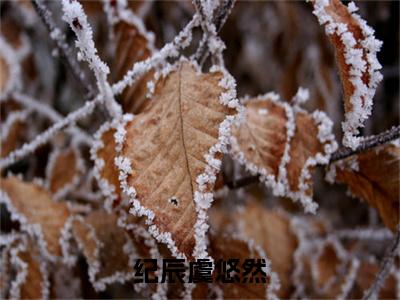 纪辰虞悠然小说全文免费阅读_（纪辰虞悠然）虞悠然纪辰小说最新章节列表笔趣阁