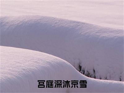 宫庭深沐京雪全文免费阅读无弹窗_（宫庭深沐京雪）全文在线阅读大结局