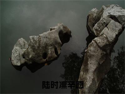 辛愿陆时凛小说免费全本-陆时凛辛愿小说（辛愿陆时凛完整版）免费阅读