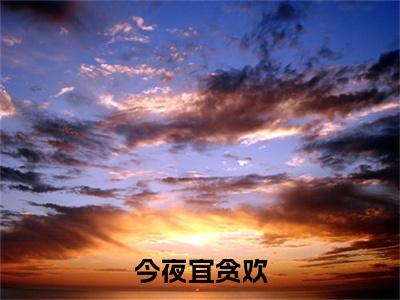 今夜宜贪欢小说沈初谢泊霆全文免费阅读（今夜宜贪欢已完结）