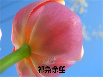 祁枭余笙（余笙祁枭）全文免费阅读无弹窗大结局_（祁枭余笙）最新章节列表_笔趣阁（余笙祁枭）