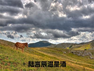 陆言辰温星酒（陆言辰温星酒）免费全文阅读小说_陆言辰温星酒最新章节列表-笔趣阁（陆言辰温星酒）