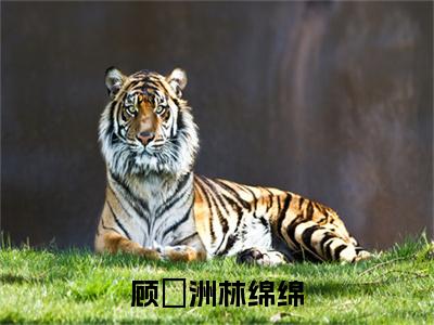 顾璟洲林绵绵全文免费阅读无弹窗大结局_（顾璟洲林绵绵）顾璟洲林绵绵免费阅读无弹窗最新章节列表_笔趣阁