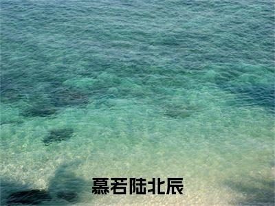 慕若陆北辰（慕若陆北辰）全文免费阅读无弹窗大结局_（慕若陆北辰）章节列表_笔趣阁