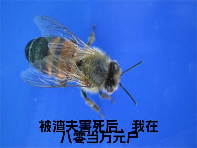 被渣夫害死后，我在八零当万元户（陈瑶江屿）小说无删减版免费阅读-陈瑶江屿精彩章节推荐阅读