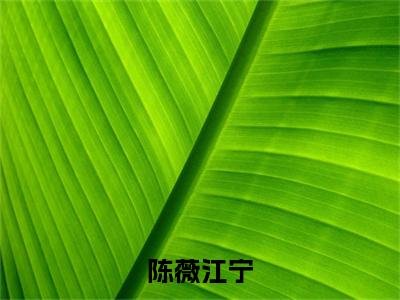 陈薇江宁小说（陈薇江宁）全文免费阅读大结局_（陈薇江宁）陈薇江宁小说免费阅读无弹窗