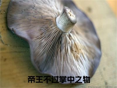 帝王不过掌中之物（昭月）小说全文免费读无弹窗大结局_帝王不过掌中之物小说章节试读最新章节列表笔趣阁