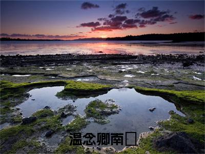 热文南璟温念卿小说全文阅读_温念卿南璟（南璟温念卿）全文免费阅读最新章节列表