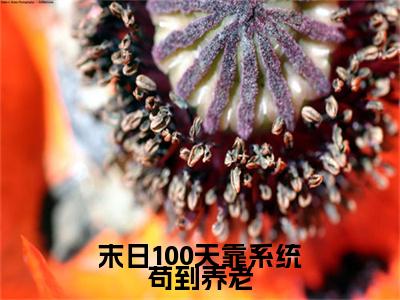 末日100天靠系统苟到养老（燧羽）全文免费阅读无弹窗大结局_（燧羽在线阅读）最新章节列表笔趣阁（燧羽）