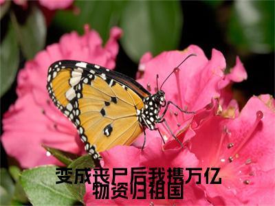 变成丧尸后我携万亿物资归祖国（纪绾一）老书虫良心推荐小说-变成丧尸后我携万亿物资归祖国（纪绾一）小说精彩免费试读